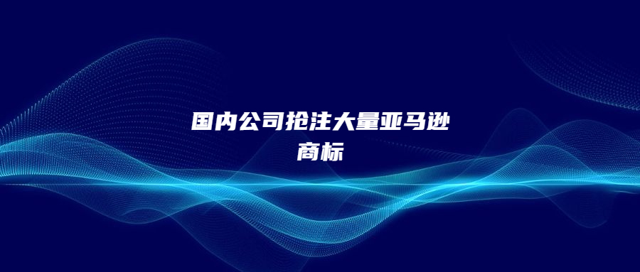 國內(nèi)公司搶注大量亞馬遜商標