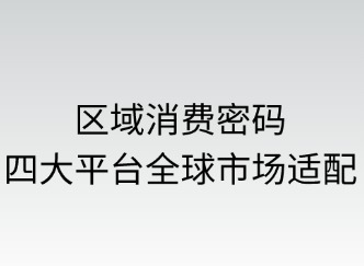 區(qū)域消費密碼：四平臺全球市場適配指南