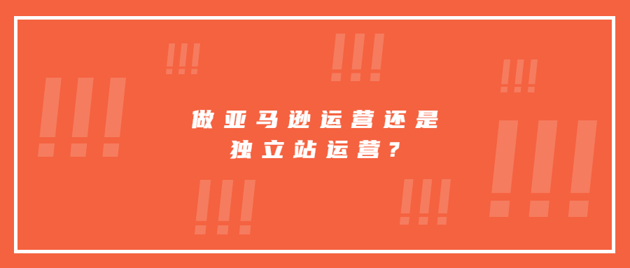 做亞馬遜運營還是獨立站運營?分別要做些什么?